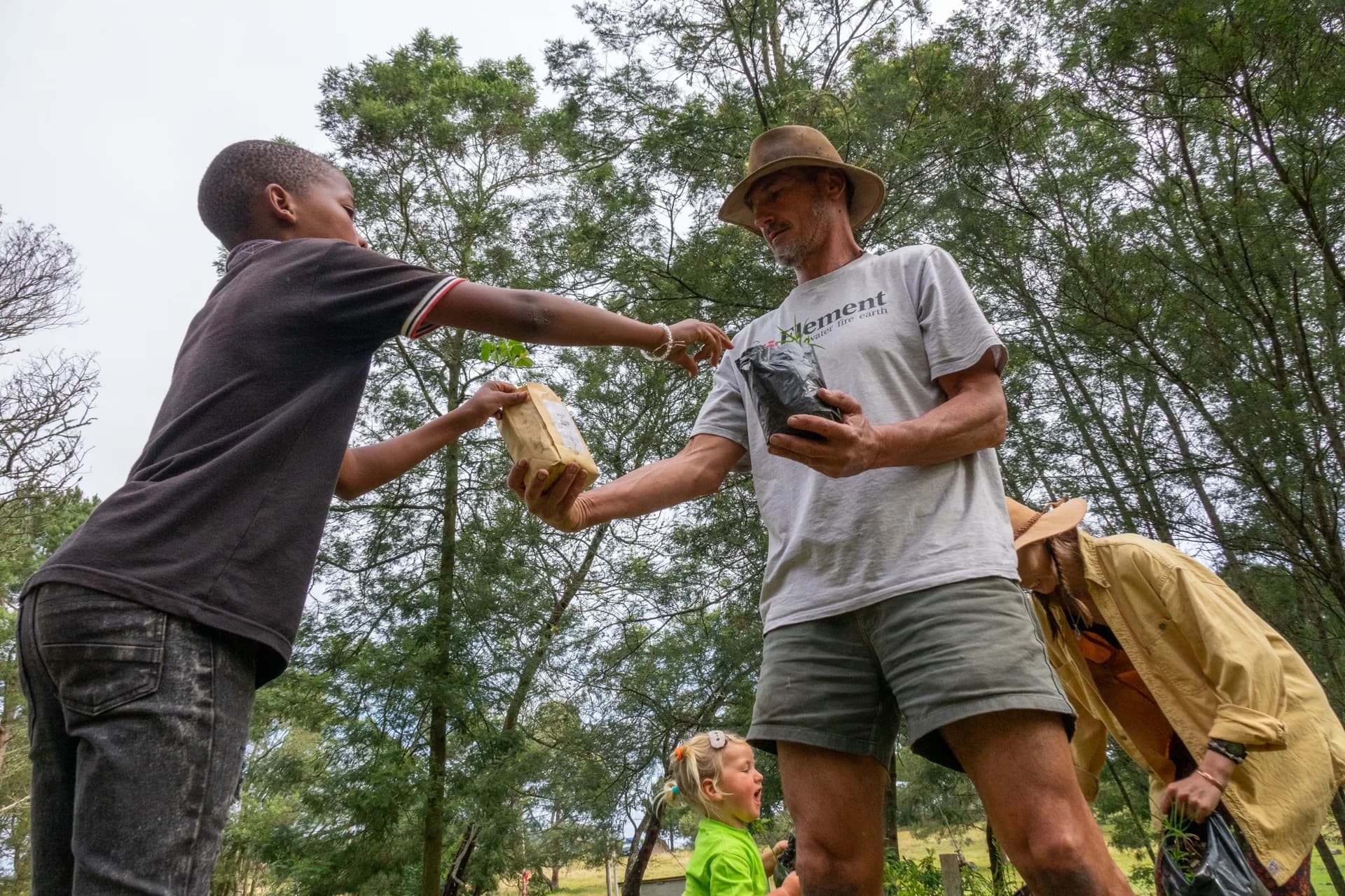 A boy hands a bundled indigenous sapling up to a smiling volunteer at a planting day, with trees rising against the sky behind them