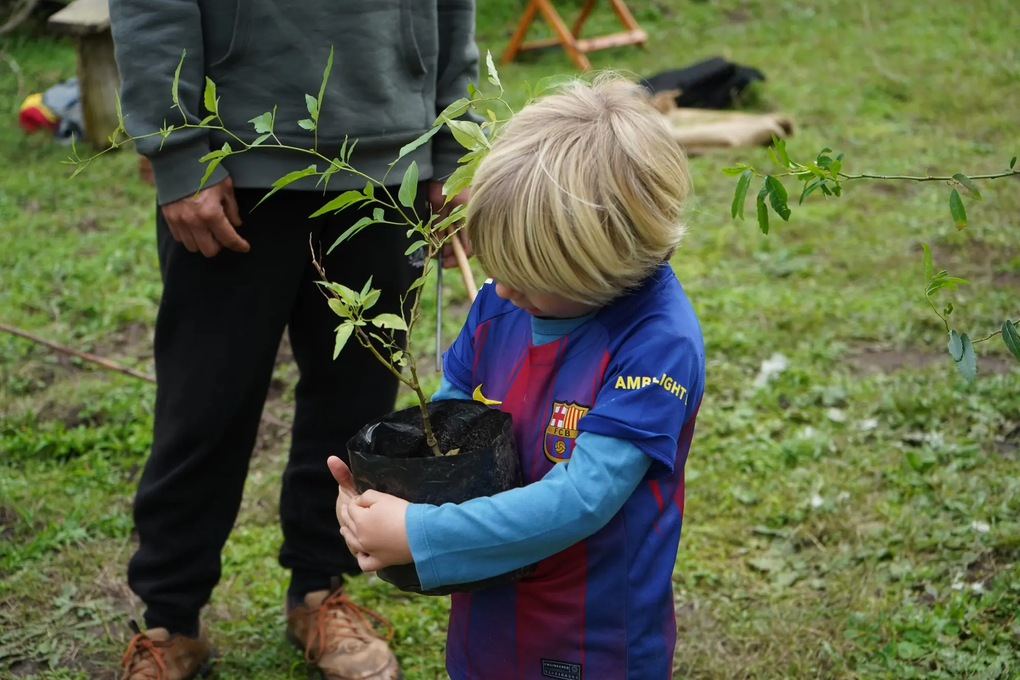 A toddler crouching beside a volunteer planting a sapling