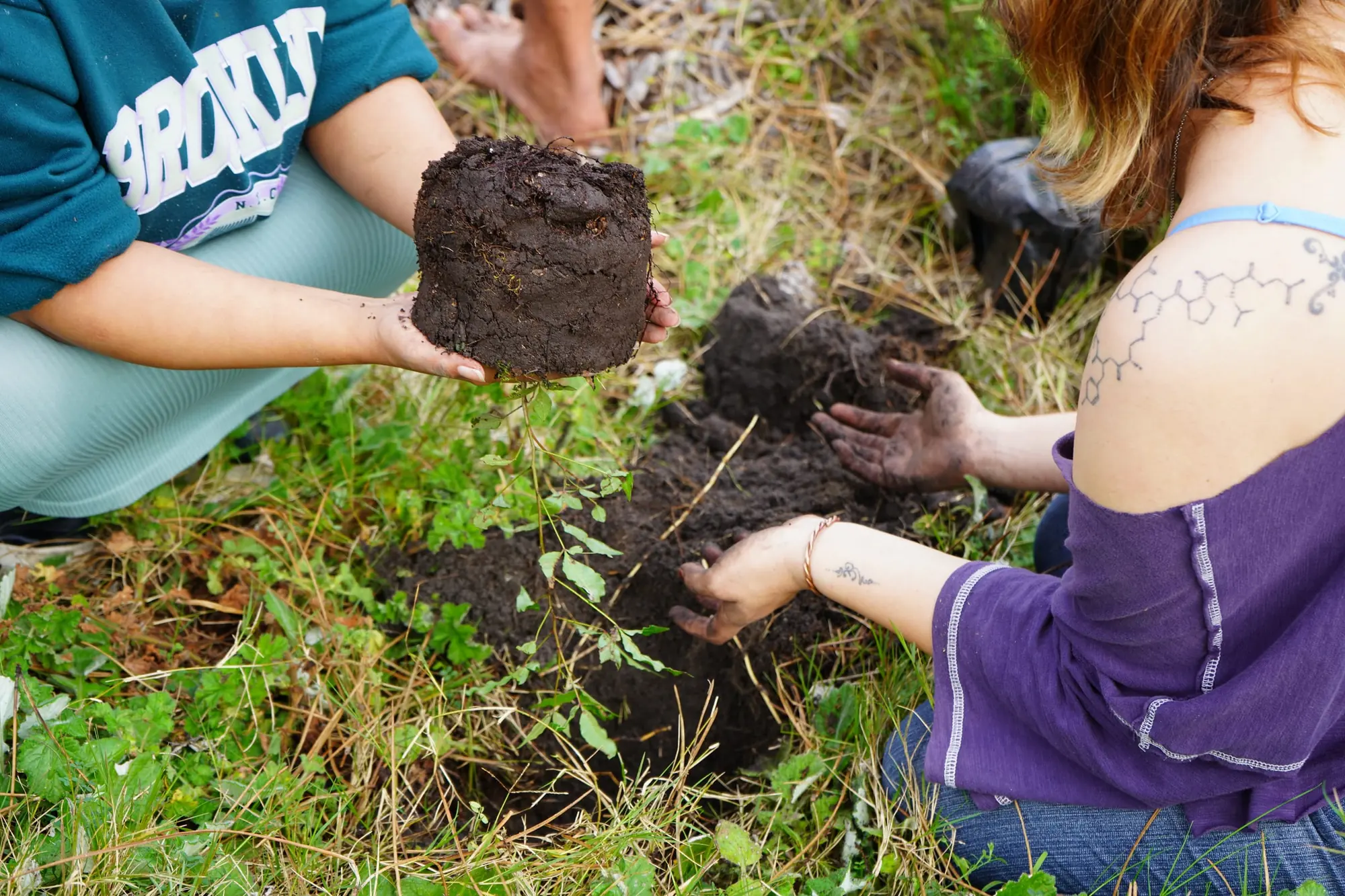 A volunteer pouring water from a bucket onto a newly planted sapling