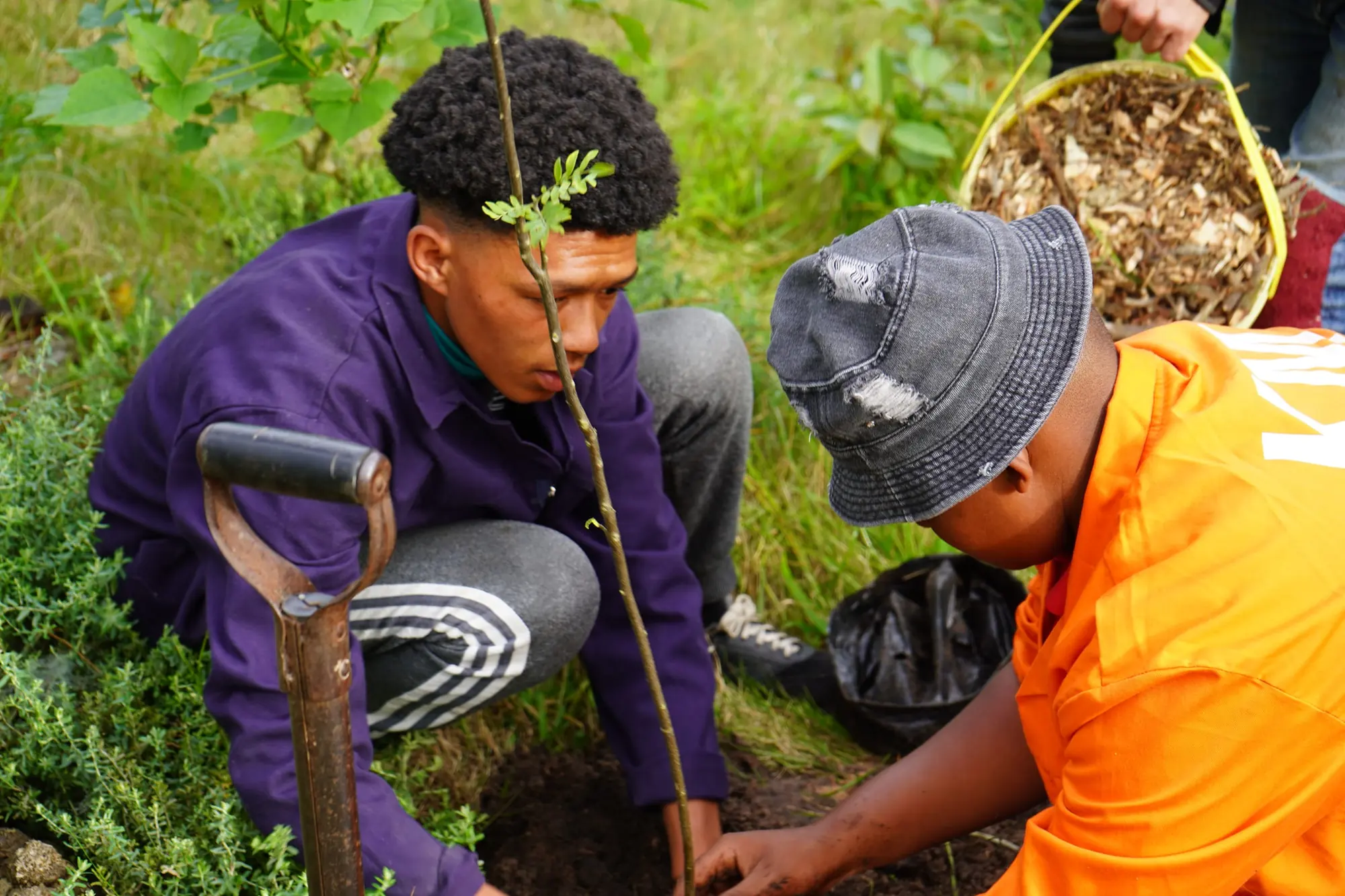 A boy digging a planting hole with a spade at the forest site