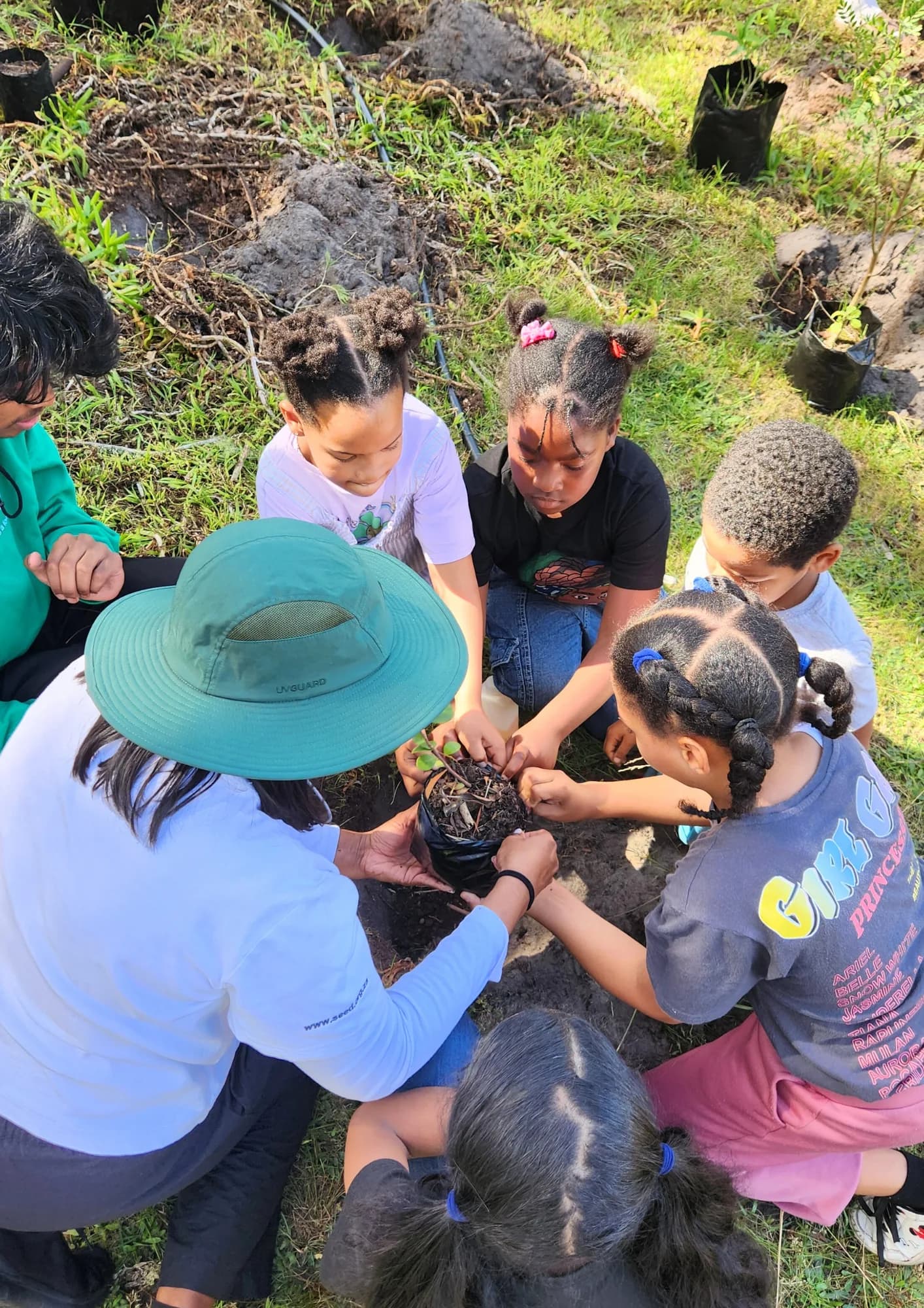 Overhead view of children and an adult in a wide-brimmed hat crouched in a circle, hands together around an indigenous sapling being eased out of its nursery bag