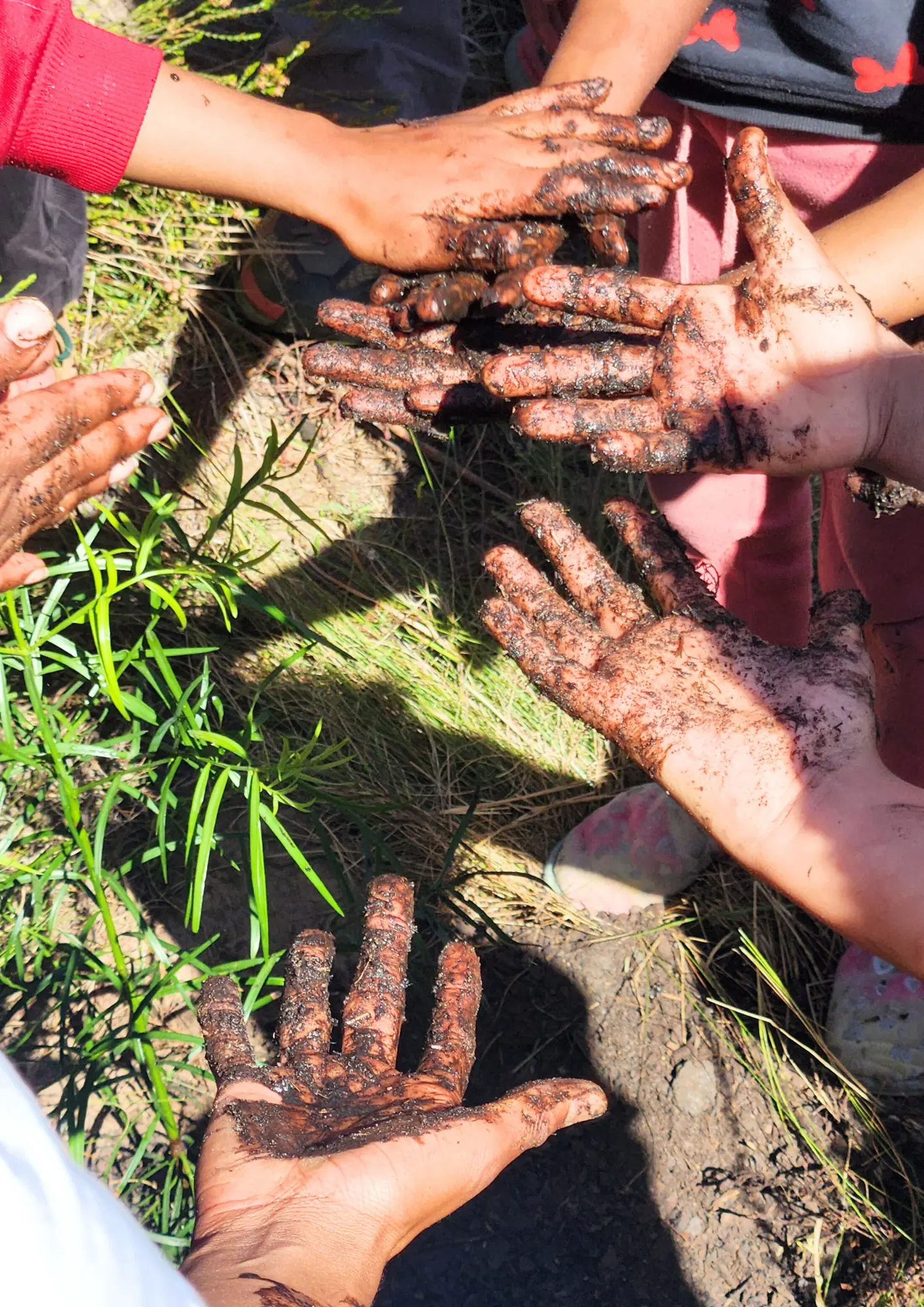 A circle of children's soil-covered hands held together after a day of hands-on planting