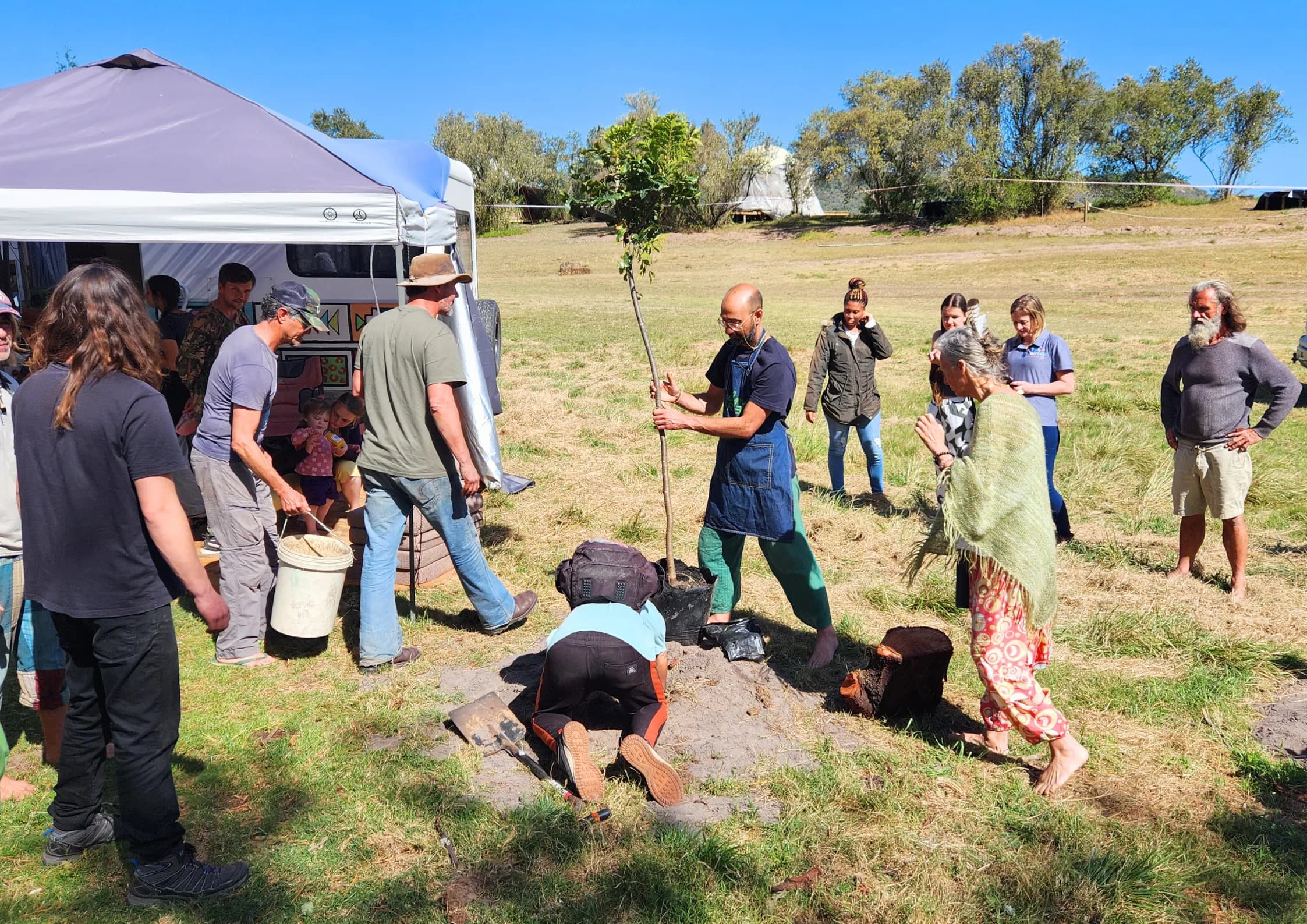 A family plants a tree together, digging into the soil and holding the sapling upright, with a tent and van in the background