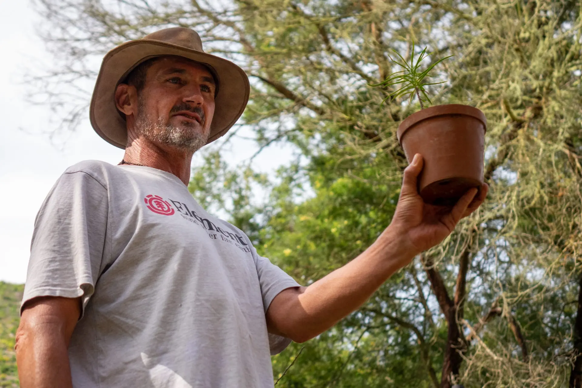 A man holds up a small potted sapling against a backdrop of trees