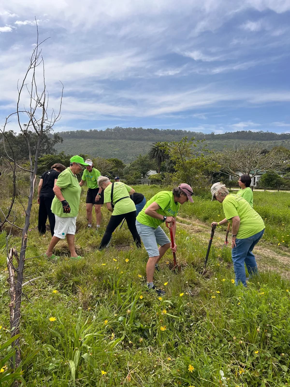 Revive Sedgefield volunteers digging planting holes in the grass